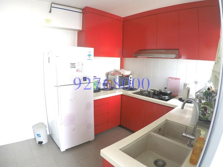 Blk 209B Compassvale Lane (Sengkang), HDB 4 Rooms #129260582